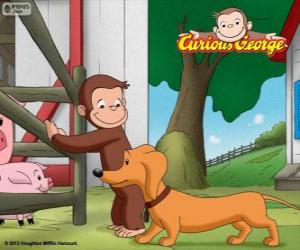 Puzzle Η μαϊμού Γεώργιος και Hundley λουκάνικο σκυλί